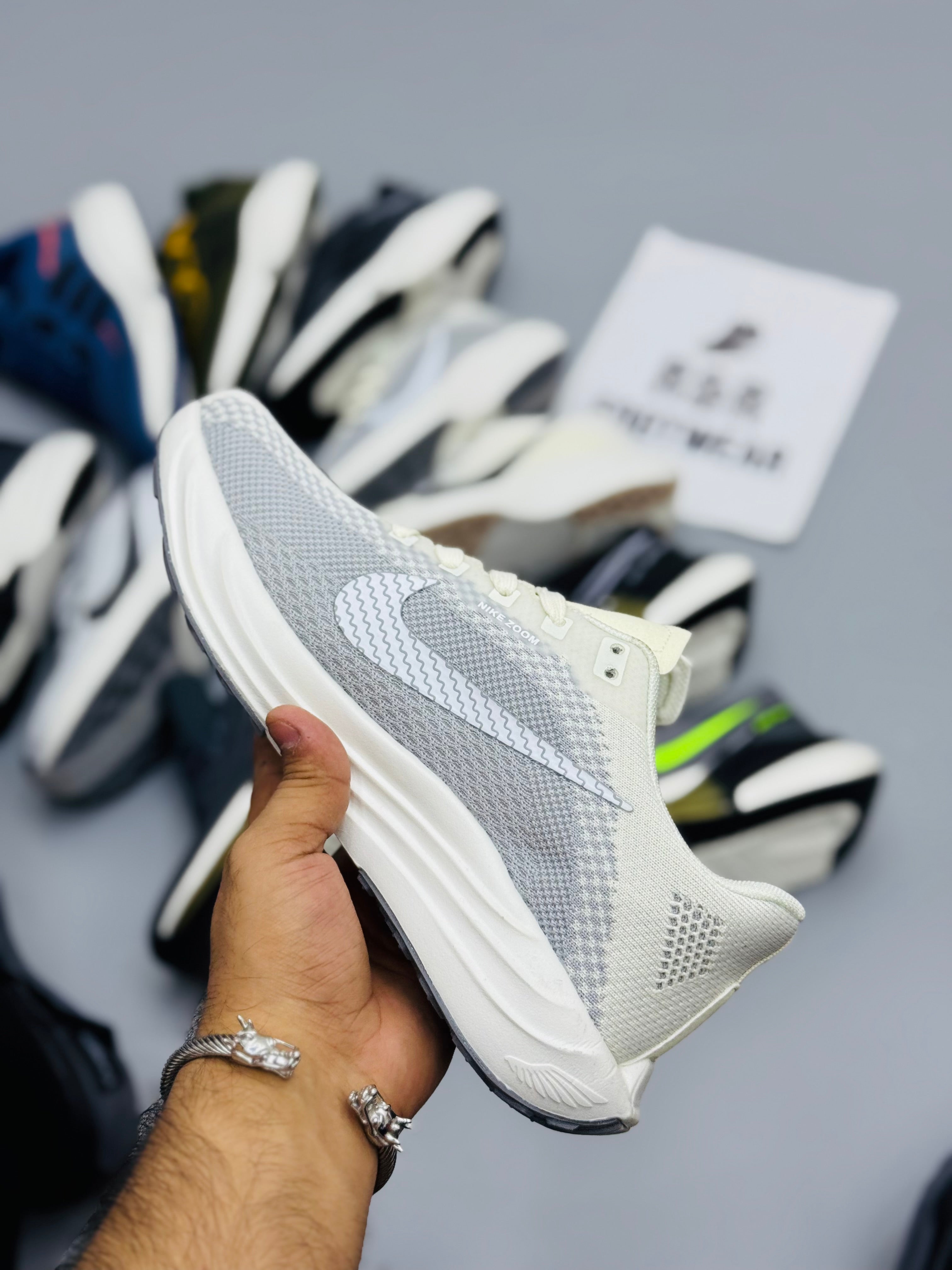 NZ Pegasus Plus