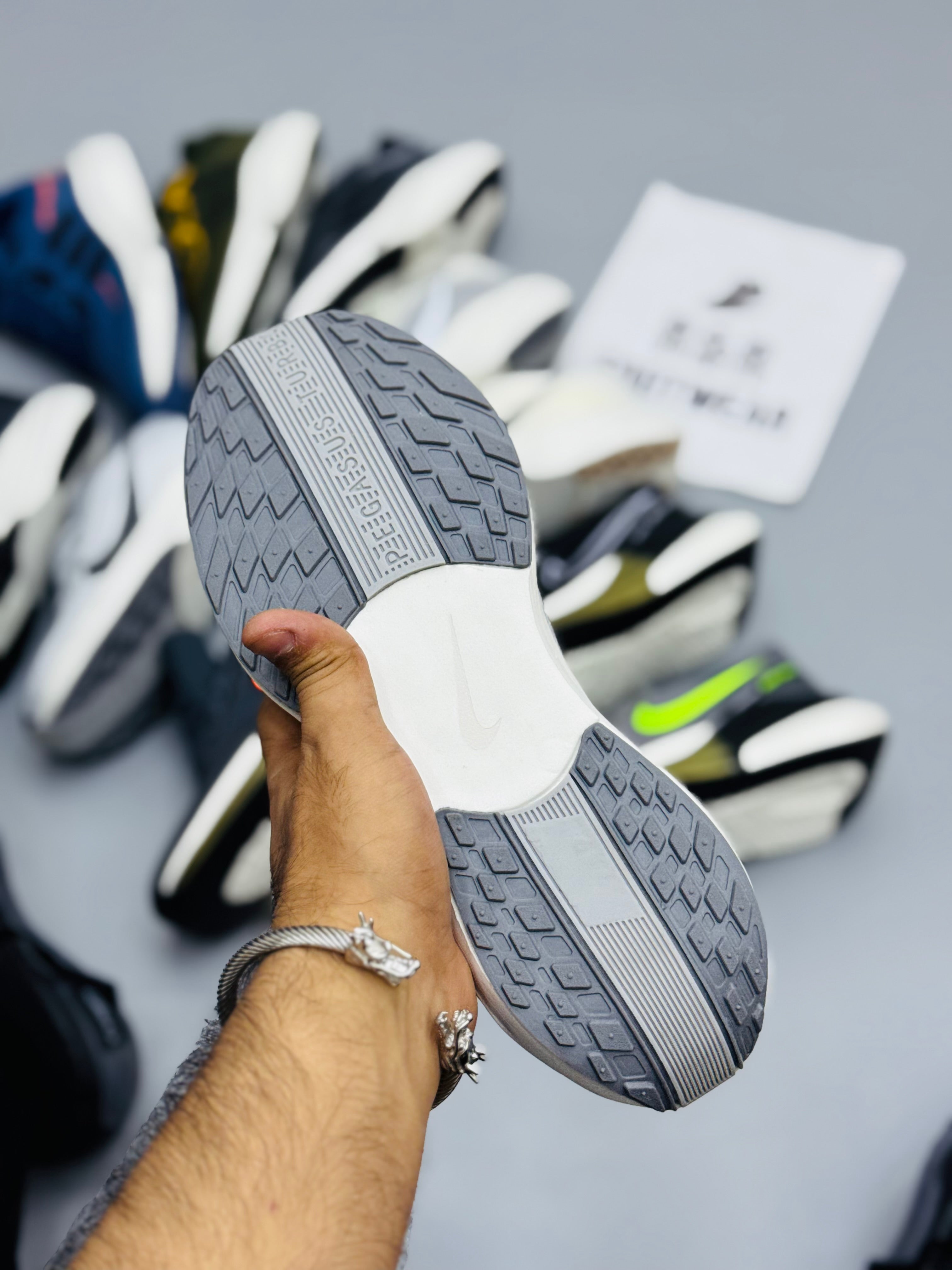 NZ Pegasus Plus