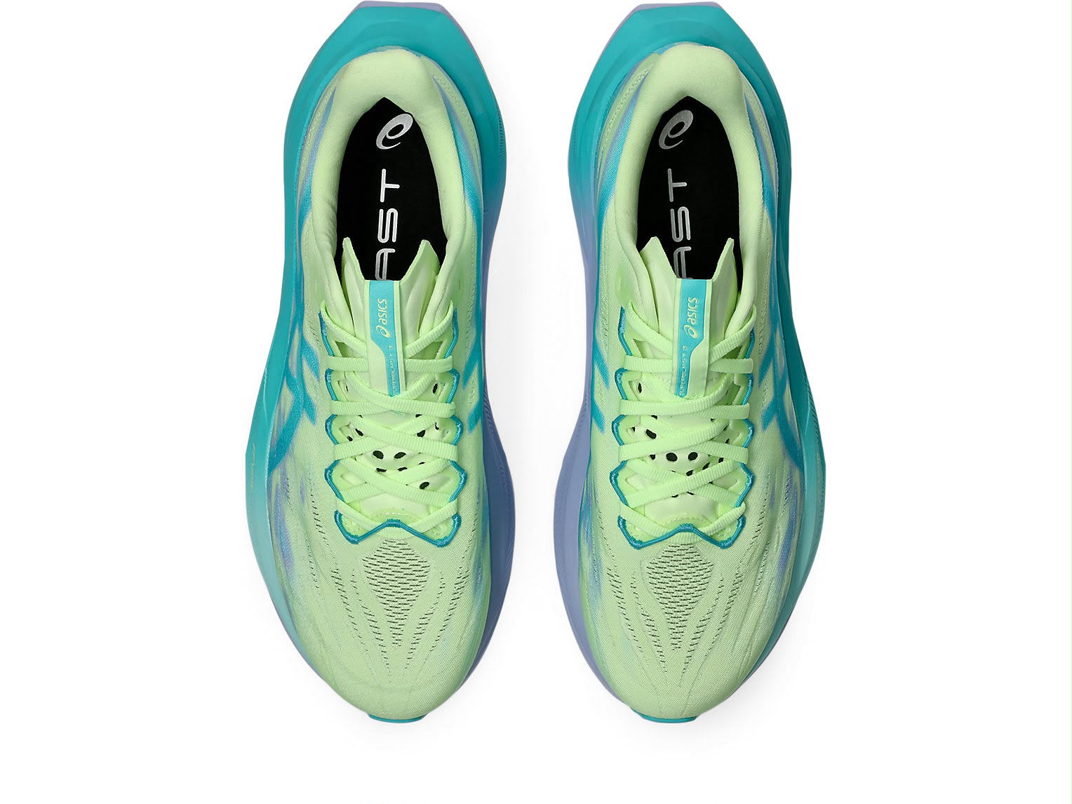 ASCS - GEL NIMBUS